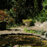 Algenplage im Gartenteich