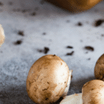 Frische Pilze selbst züchten