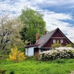 Der Garten im Februar: Die Zaubernuss lässt die Natur erwachen