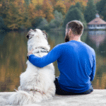 Woran ich merke, dass mein Hund ein Problem hat