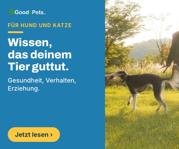 good4pets.de, Wissensportal für Hund und Katze