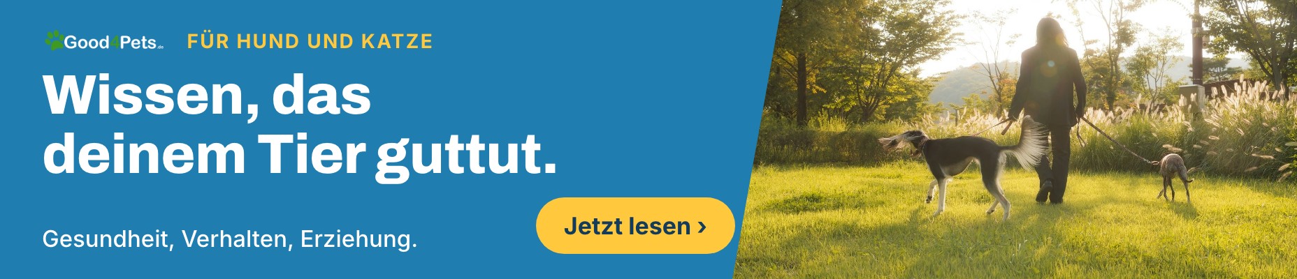 good4pets.de, Wissensportal für Hund und Katze