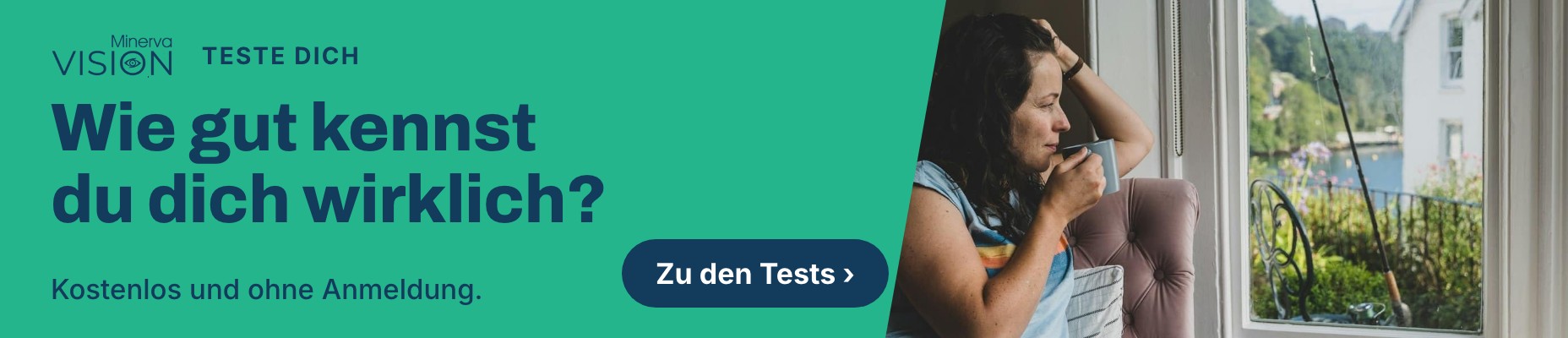 Selbsttests bei Minerva VISION